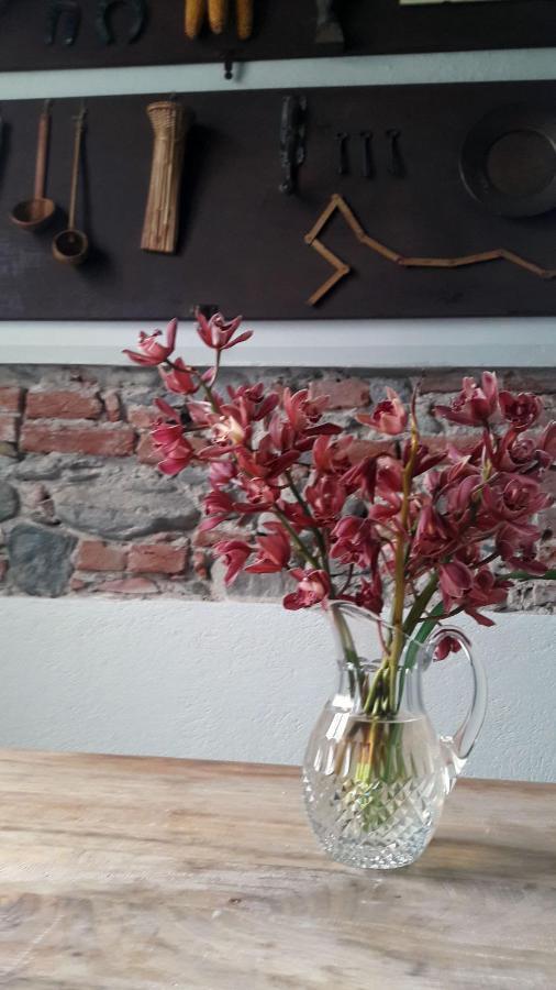 Langhe Di Liguria B&B Piana Crixia Exteriér fotografie